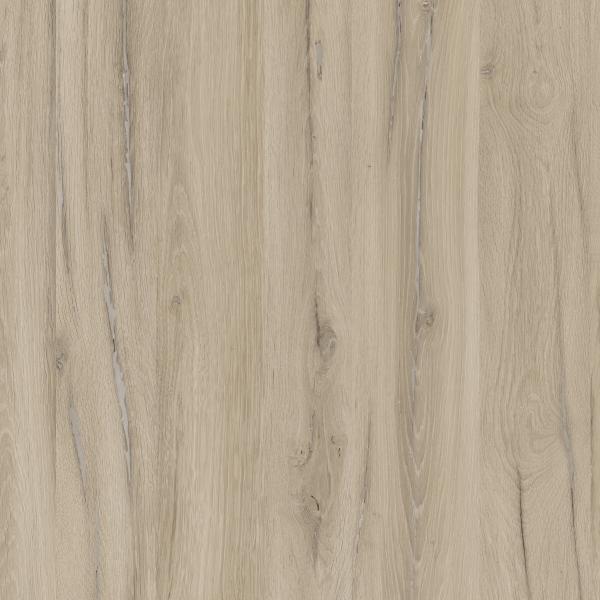 D20110 Dąb Nostalgiczny