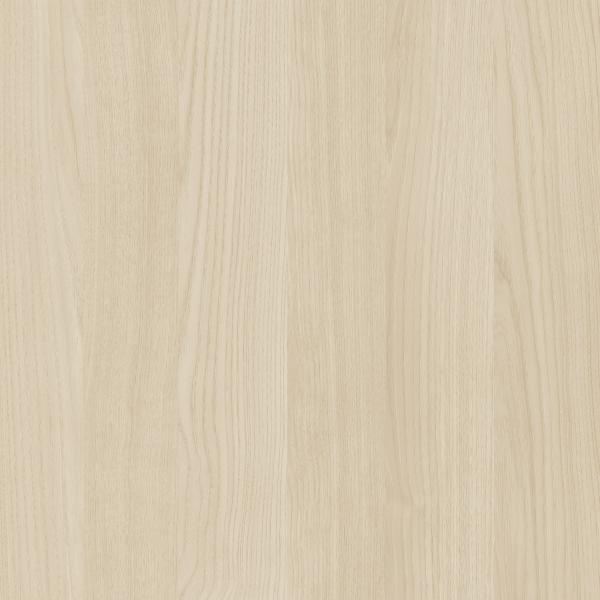 D20120 Kasztan Spokojny Jasny