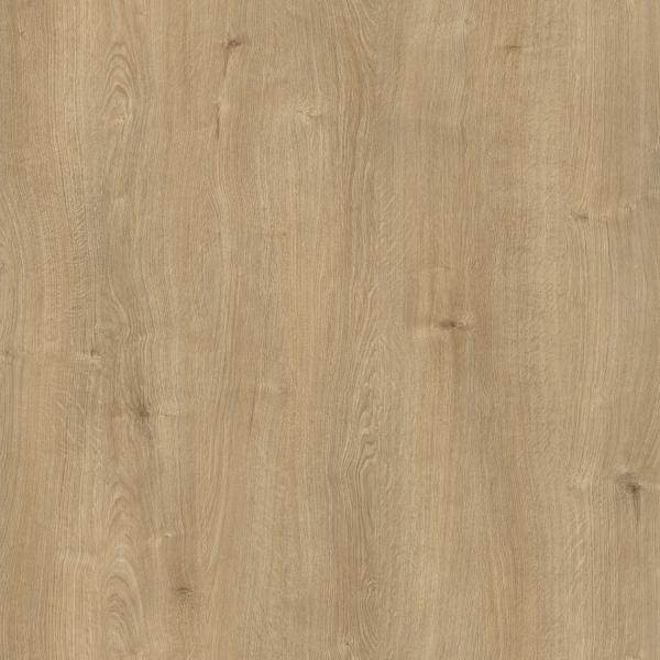 D20140 Dąb Liryczny