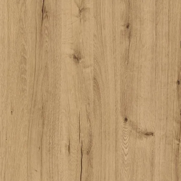 D20551 Dąb Letni Złoty