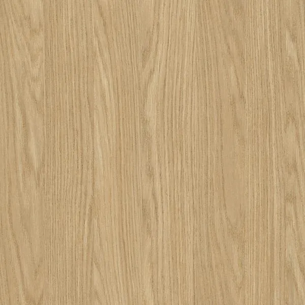 D20744 Dąb Wiosenny