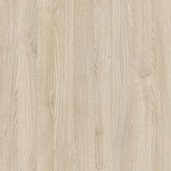 D2609 Dąb Palermo Jasny