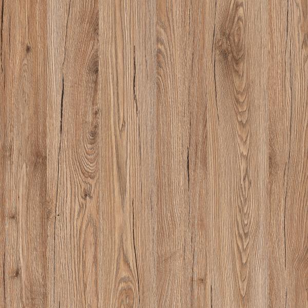 D3349 Dąb San Marino