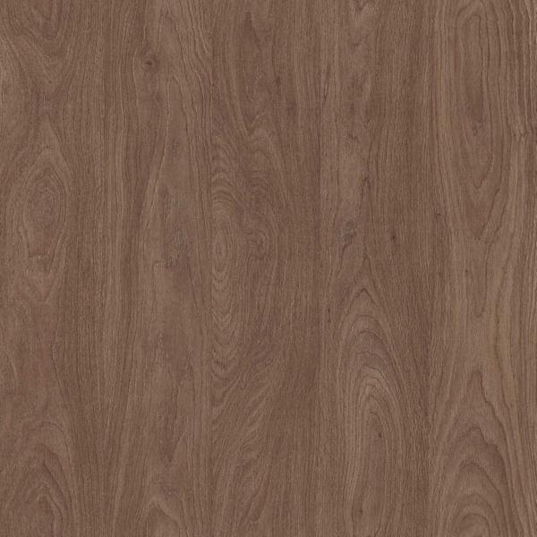 D3821 Dąb Sztokholm