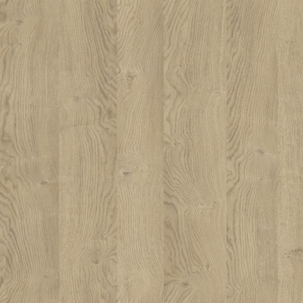 D4032 Dąb Biszkoptowy
