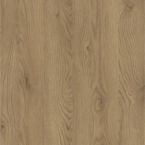 D4033 Dąb Słoneczny