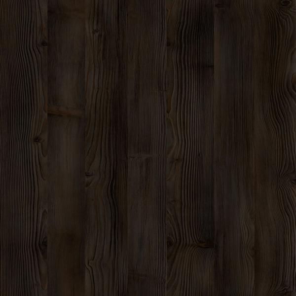 D4095 Sosna Czekoladowa