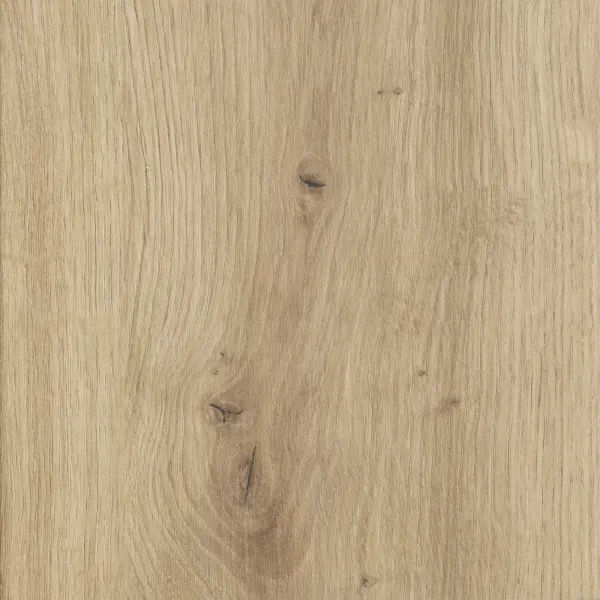 D4225 Dąb Artisan