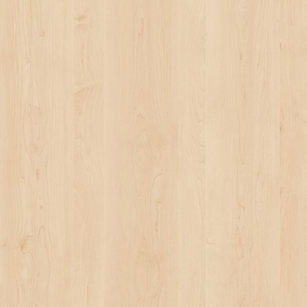 D440 Klon Vancouver Jasny