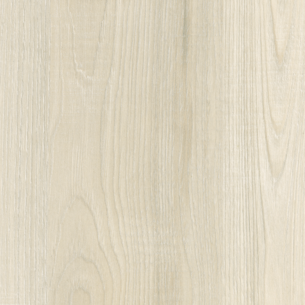 D4419 Kasztan Biały